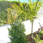 ヴィラ Med - Private Pool, Garden, Sun Day, Stunning Views *